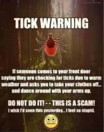 05E5548E-8B1C-45A7-A69D-295DF110B2A1.webp