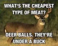 1F485791-D577-4399-B20F-E6E64EC9D5FB.webp