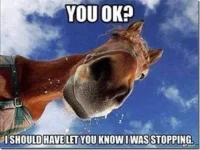 4251A1EC-0801-4F20-AF79-E87DED055D57.webp