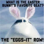 AE79F032-E604-4431-B4C6-D5EDE07C447D.webp