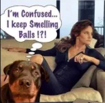 367D6F1C-1242-421A-90CD-9F957CB682F3.webp