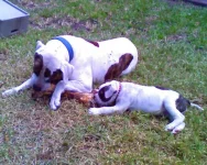 Image0009.webp