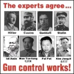Gun Control Works.webp