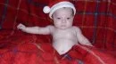 Alex.webp