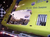 MissGeico.webp