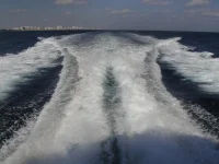 Wake.webp