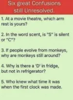 4F7CC527-AB5B-4D23-B363-B5AB7D334A99.webp