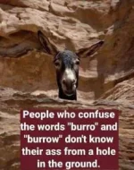 3CBAE9BC-CA16-46E1-B033-057F6C2D0A28.webp