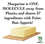 A2796147-13B6-4560-9E0A-3FB76E2DD9F6.webp