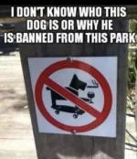 A80F4B10-0C4F-4BC9-93EB-3A2289DC8337.webp