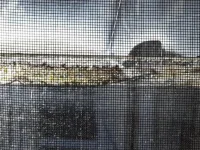 20190513_181255[1].webp