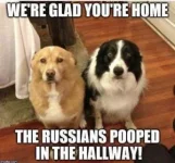 97558654-F5CD-4B2D-855C-45982D14DDCD.webp