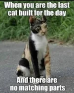 2F5E3A8B-7855-4FE0-AC0E-EE24C3FA8818.webp