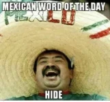 C4BB3C8F-91C7-4407-B535-198C8DAC5553.webp