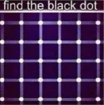 49050C21-32CE-4224-A44E-57D56D0395FF.webp