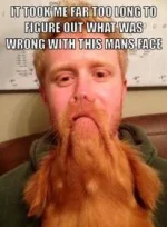 496C3B98-E2F6-419C-9FCF-7D28763EA8F4.webp