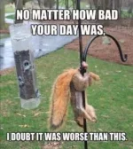 B7C99590-2350-4DB9-8F93-9665FB7C7D39.webp