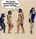 C56F1604-6BAB-44EE-A281-1210B013E17D.webp