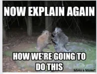 3A1D789B-B771-4358-88DC-F71E0CB54EB0.webp