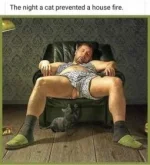 35997D42-79C9-4CC2-9BA3-42E879950043.webp