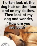 C262A363-9A93-413C-89B7-5F4D84166676.webp