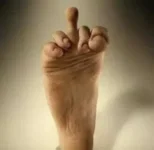 1449BD39-3CE9-4139-9314-FEF0AD8648B6.webp