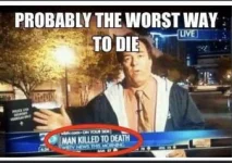 69756BF0-C51D-49EB-8E09-BEF15F0377E8.webp