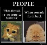 289B9F31-30A0-4219-91E5-02AD7FEC6BFC.webp
