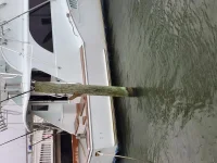 Cricket dock 2019 2.webp