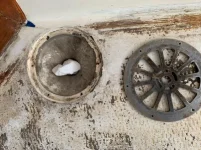 Rear Deck Drain 001.webp