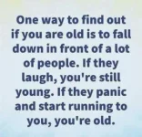 2A8168CA-11B1-4021-B55F-F2967CE7C692.webp