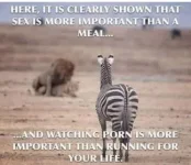 C17B1B0F-FA09-4D58-ACB5-6744EEEC551B.webp