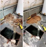Boat Rot.webp