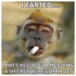farted.webp