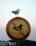 90A18A1E-D539-4278-91D8-A7BE9F224D60.webp