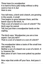 woodpecker.webp