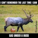 09B59369-F081-485D-844B-9D7BBCE0083E.webp
