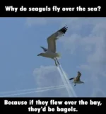 28376B2E-9740-45D9-BF13-9D7F11495E57.webp