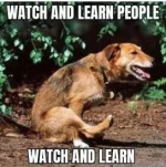 49E3029E-764A-4B8F-B4A7-38CEA8893F34.webp