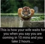 23E0F403-3374-45DC-B742-EC8EC3497812.webp