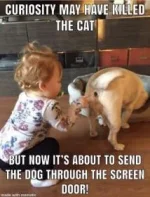B73F3783-13D4-49A9-94D4-CB59E91D9224.webp