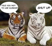7429EB73-20F1-4304-AD69-821D90C1DFBF.webp