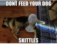 1787E4BF-F1A0-480B-8FFB-559494004BEC.webp