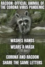 0A37114D-3438-46C0-BC6C-D70CC7DB20FD.webp