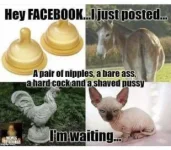 5A7F64B0-AF4A-4F83-8D23-258AAF192E9E.webp