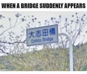 894211DC-7286-4C17-AD11-C688D05C37C4.webp