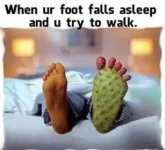 248C5C63-5A72-42CD-9266-B219478030EC.webp