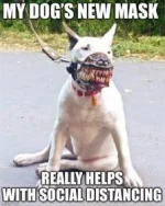 0E3EA5CB-0926-43A9-8E88-01100322C84E.webp