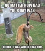 062C6197-C974-4466-8486-7E56E8ECFF14.webp