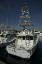 Blue Arrow Photo Transom.webp